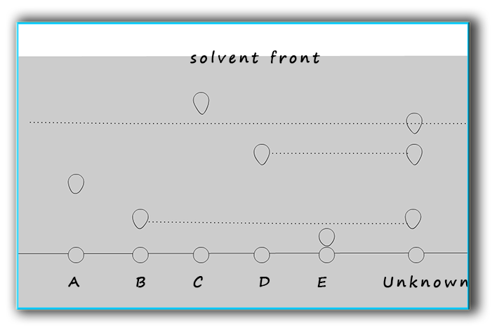 Analysis of a chromatogram from a paper chromatography experiemnt, identiing unknown substances.